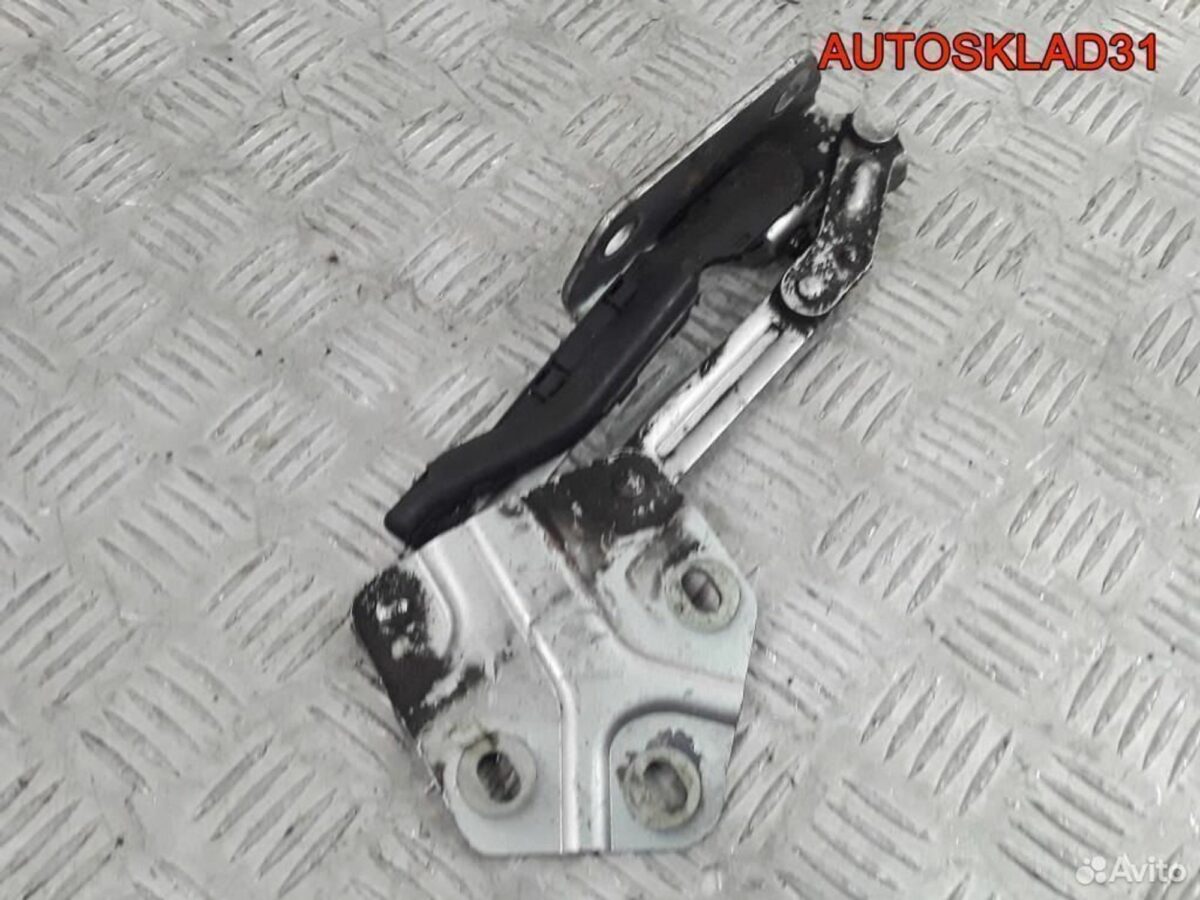 Петля капота правая Volkswagen Touran 1T0823302B - АвтоСклад31.рф - авторазборка контрактные б/у запчасти в г. Белгород
