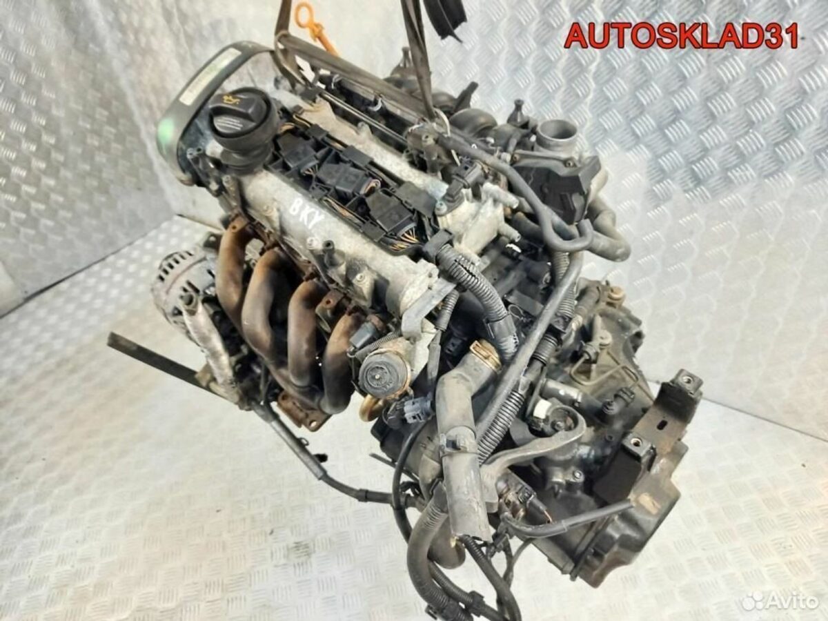 Двигатель BKY VW Polo 2001-2009 1.4 Бензин - АвтоСклад31.рф - авторазборка контрактные б/у запчасти в г. Белгород