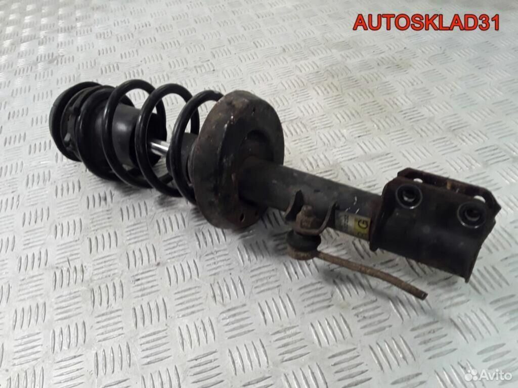 Амортизатор передний правый Опель Вектра Б 9156800 - АвтоСклад31.рф - авторазборка контрактные б/у запчасти в г. Белгород Амортизатор передний правый Опель Вектра Б 9156800 - АвтоСклад31.рф - авторазборка контрактные б/у запчасти в г. Белгород