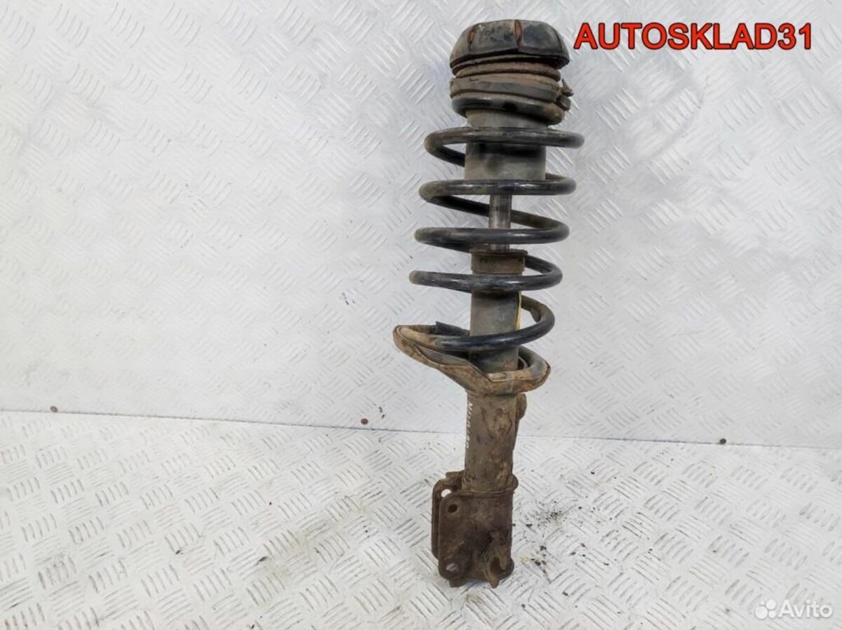 Амортизатор передний правый Daewoo Nubira 96454523 - АвтоСклад31.рф - авторазборка контрактные б/у запчасти в г. Белгород