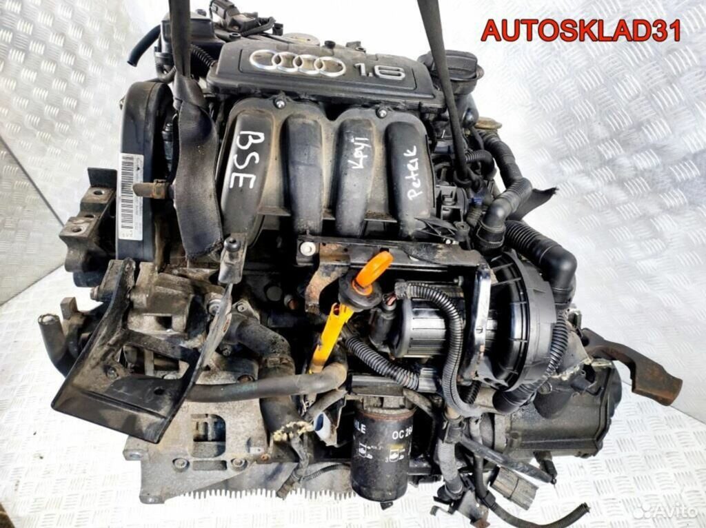 Двигатель BSE Volkswagen Golf Plus 1.6 Бензин - АвтоСклад31.рф - авторазборка контрактные б/у запчасти в г. Белгород Двигатель BSE Volkswagen Golf Plus 1.6 Бензин - АвтоСклад31.рф - авторазборка контрактные б/у запчасти в г. Белгород