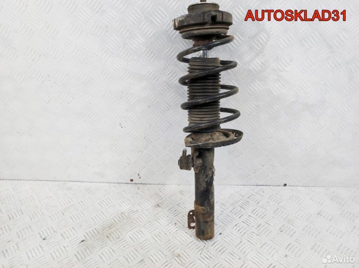 Амортизатор передний Skoda Fabia 6Q0413031BH - АвтоСклад31.рф - авторазборка контрактные б/у запчасти в г. Белгород
