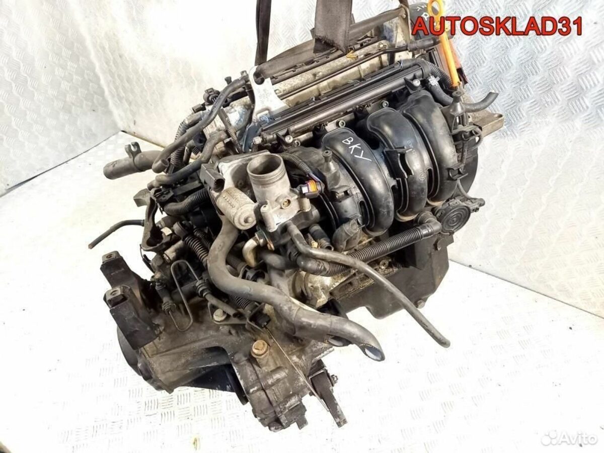Двигатель BKY VW Polo 2001-2009 1.4 Бензин - АвтоСклад31.рф - авторазборка контрактные б/у запчасти в г. Белгород