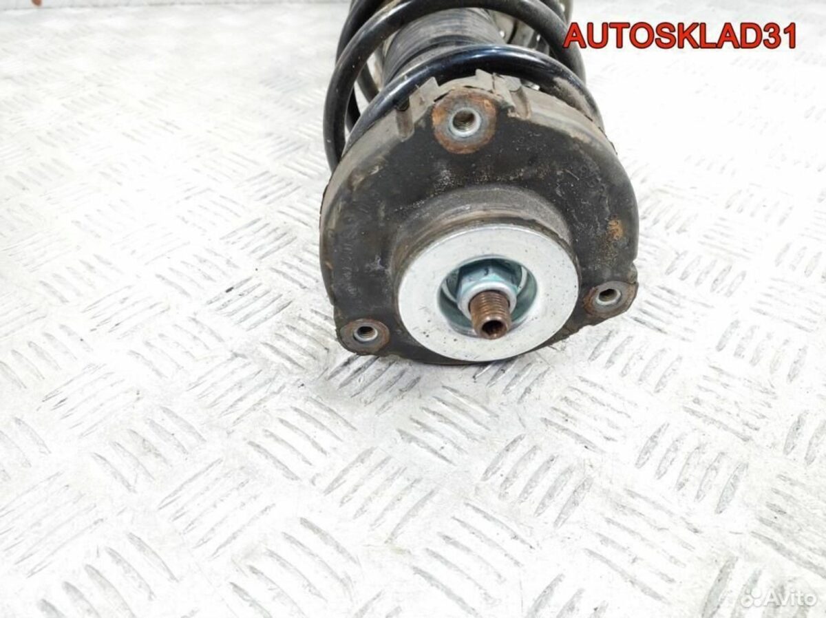 Амортизатор передний Skoda Fabia 6Q0413031BH - АвтоСклад31.рф - авторазборка контрактные б/у запчасти в г. Белгород