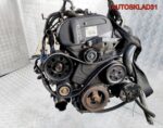 Двигатель fydc Ford Focus 1 1.6 Бензин - АвтоСклад31.рф - авторазборка контрактные б/у запчасти в г. Белгород