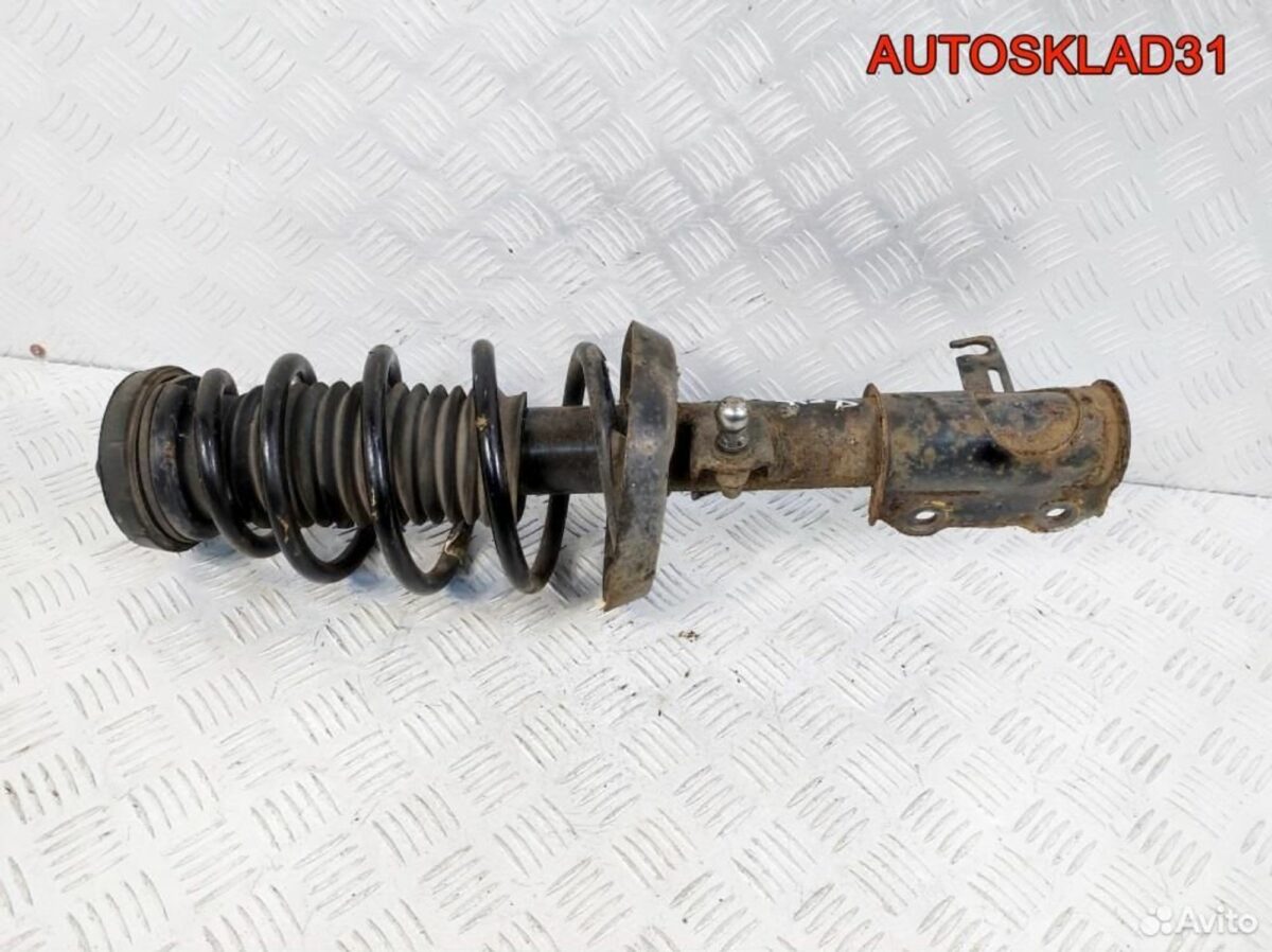 Амортизатор передний левый Opel Astra J 13354011 - АвтоСклад31.рф - авторазборка контрактные б/у запчасти в г. Белгород