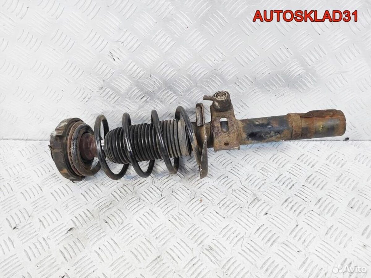 Амортизатор передний Skoda Fabia 6Q0413031BH - АвтоСклад31.рф - авторазборка контрактные б/у запчасти в г. Белгород