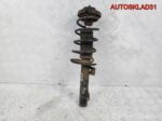 Амортизатор передний Skoda Fabia 6Q0413031BH - АвтоСклад31.рф - авторазборка контрактные б/у запчасти в г. Белгород
