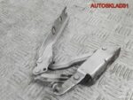 Петля капота левая Volkswagen Golf 5 1K0823301C - АвтоСклад31.рф - авторазборка контрактные б/у запчасти в г. Белгород