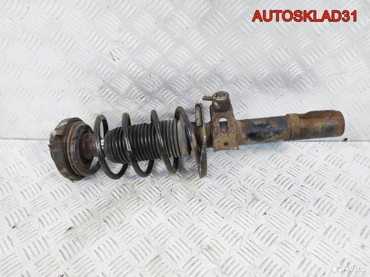 Амортизатор передний Skoda Fabia 6Q0413031BH - АвтоСклад31.рф - авторазборка контрактные б/у запчасти в г. Белгород