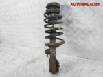 Амортизатор передний правый Daewoo Nubira 96454523 - АвтоСклад31.рф - авторазборка контрактные б/у запчасти в г. Белгород