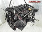 Двигатель Y25DT Opel Omega B 2.5 дизель - АвтоСклад31.рф - авторазборка контрактные б/у запчасти в г. Белгород