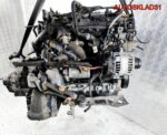 Двигатель Z13DTJ Opel Corsa D 1.3 Дизель - АвтоСклад31.рф - авторазборка контрактные б/у запчасти в г. Белгород