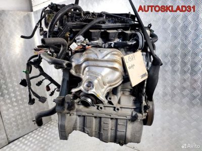 Двигатель L13A1 Honda Jazz 1.3 Бензин - АвтоСклад31.рф - авторазборка контрактные б/у запчасти в г. Белгород