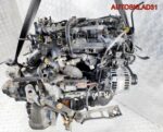 Двигатель Z13DTJ Opel Corsa D 1.3 Дизель - АвтоСклад31.рф - авторазборка контрактные б/у запчасти в г. Белгород