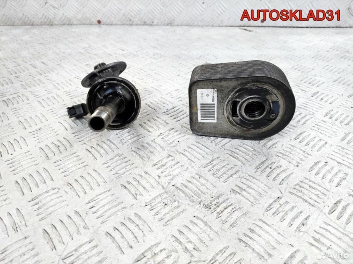Радиатор масляный Renault Megane 3 8200779744 - АвтоСклад31.рф - авторазборка контрактные б/у запчасти в г. Белгород