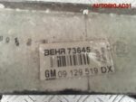 Интеркулер Opel Astra G 1,7 z17dtl 09129519DX - АвтоСклад31.рф - авторазборка контрактные б/у запчасти в г. Белгород