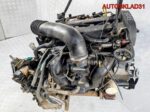 Двигатель eddf Ford Focus 1 2,0 Бензин - АвтоСклад31.рф - авторазборка контрактные б/у запчасти в г. Белгород