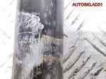 Амортизатор задний Ford Focus 2 4m5118080aae - АвтоСклад31.рф - авторазборка контрактные б/у запчасти в г. Белгород