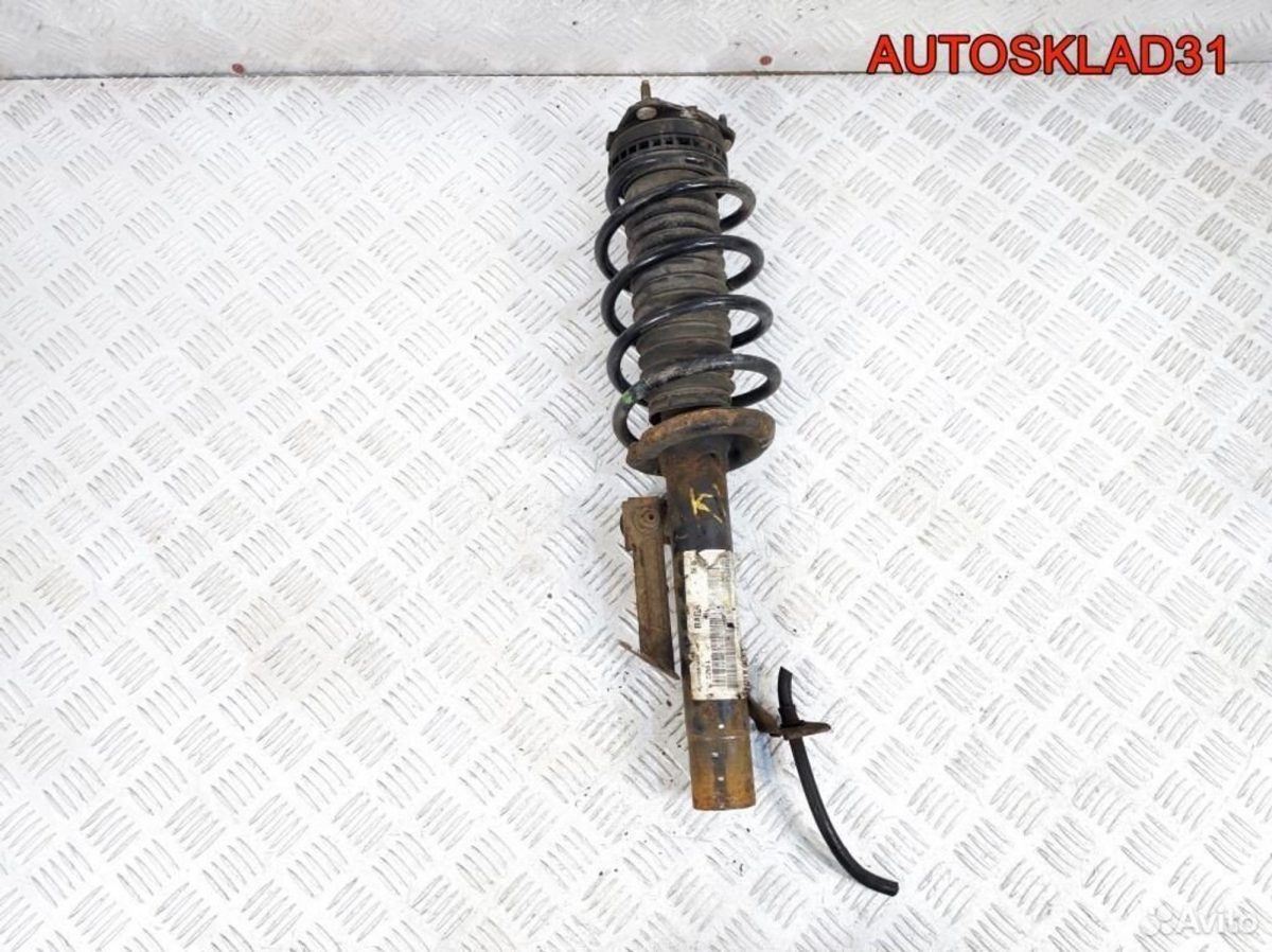 Амортизатор передний правый Ford Fusion 1329533 - АвтоСклад31.рф - авторазборка контрактные б/у запчасти в г. Белгород