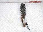 Амортизатор передний правый Ford Fusion 1329533 - АвтоСклад31.рф - авторазборка контрактные б/у запчасти в г. Белгород