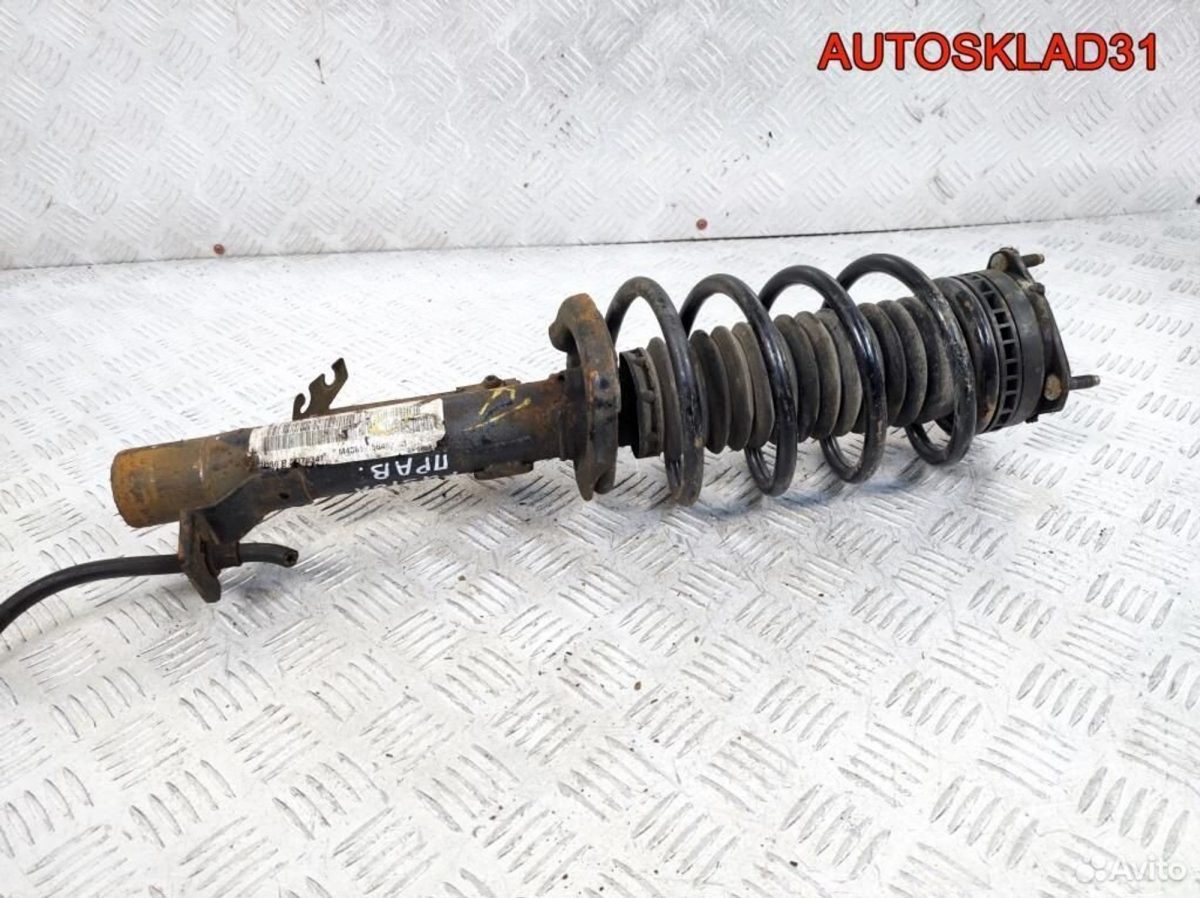 Амортизатор передний правый Ford Fusion 1329533 - АвтоСклад31.рф - авторазборка контрактные б/у запчасти в г. Белгород