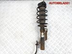 Амортизатор передний правый Ford Fusion 1329533 - АвтоСклад31.рф - авторазборка контрактные б/у запчасти в г. Белгород