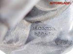 Трамблёр Honda Shuttle/Odyssey RA 2,3 F23A7 Бензин - АвтоСклад31.рф - авторазборка контрактные б/у запчасти в г. Белгород