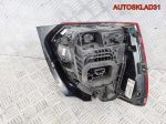 Фонарь задний правый VW Polo HB 6C0945096K Хетчбэк - АвтоСклад31.рф - авторазборка контрактные б/у запчасти в г. Белгород
