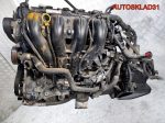 Двигaтель QQDB Ford Focus 2 1.8 Бензин - АвтоСклад31.рф - авторазборка контрактные б/у запчасти в г. Белгород