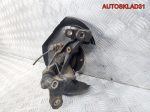 Кулак поворотный задний правый Audi A4 B6 2 WD - АвтоСклад31.рф - авторазборка контрактные б/у запчасти в г. Белгород