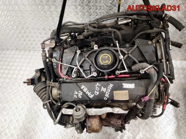 Фонарь задний левый VW New Beetle 1C0945095F - АвтоСклад31.рф - авторазборка контрактные б/у запчасти в г. Белгород