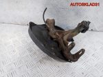 Кулак поворотный задний левый Audi A4 B6 2 WD - АвтоСклад31.рф - авторазборка контрактные б/у запчасти в г. Белгород