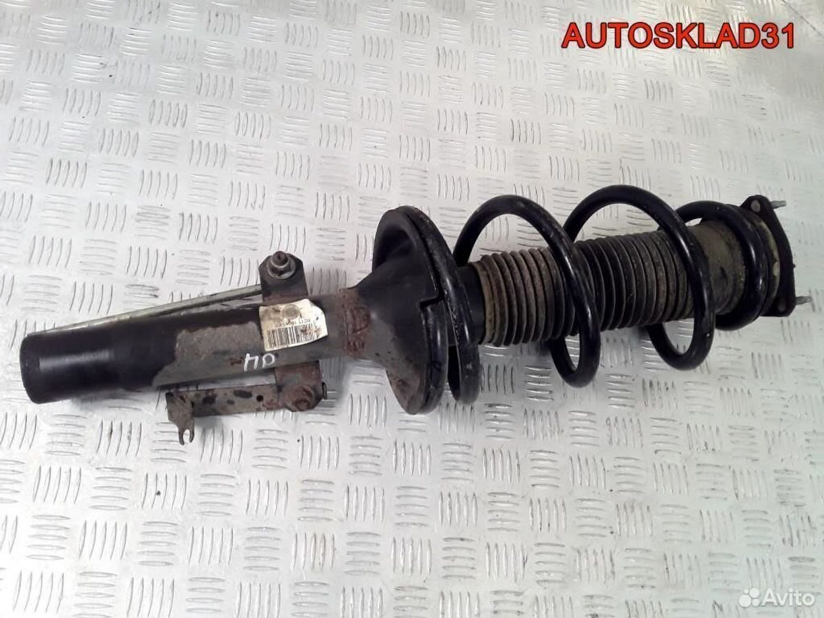 Амортизатор передний  Ford Transit 6C1118045PE - АвтоСклад31.рф - авторазборка контрактные б/у запчасти в г. Белгород