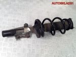 Амортизатор передний  Ford Transit 6C1118045PE - АвтоСклад31.рф - авторазборка контрактные б/у запчасти в г. Белгород