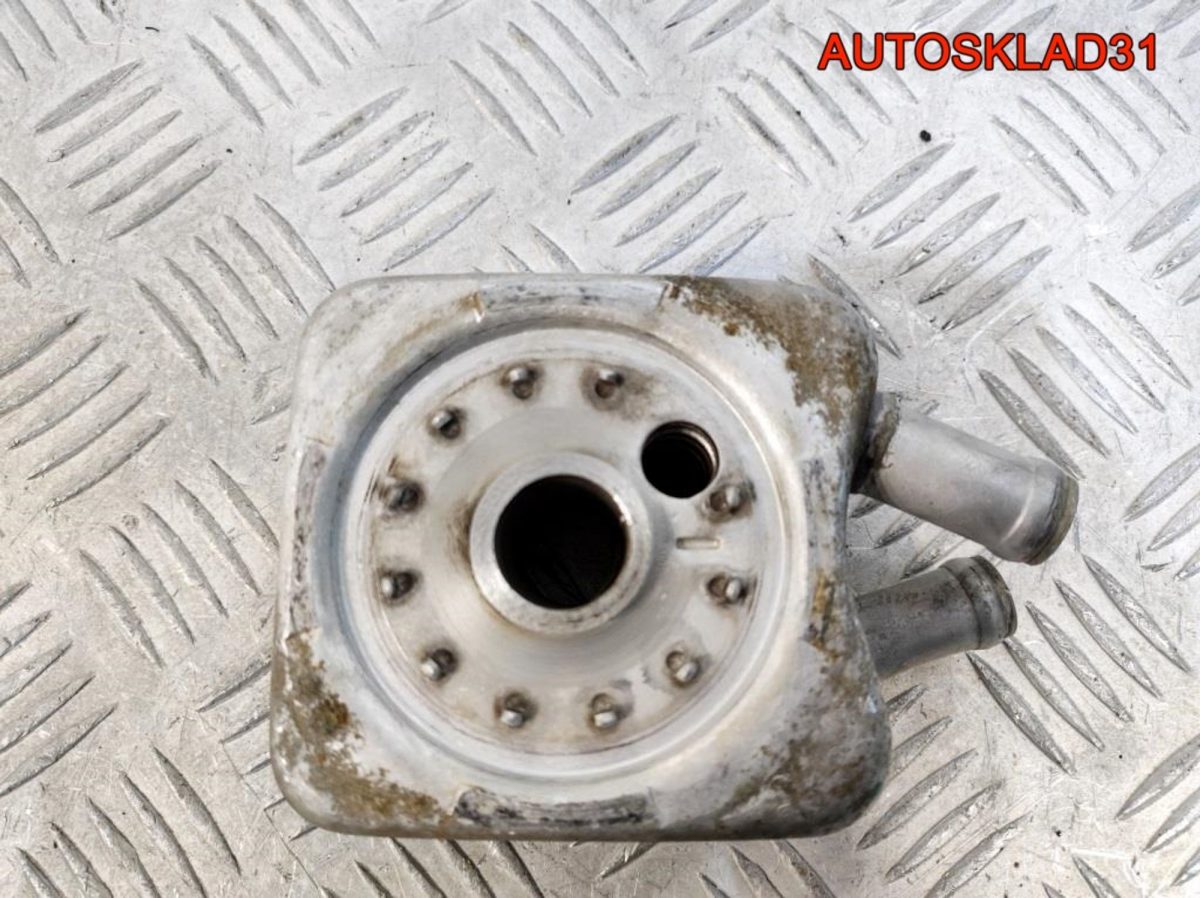 Радиатор масляный Audi A3 8L 1,6 AKL 078117021A - АвтоСклад31.рф - авторазборка контрактные б/у запчасти в г. Белгород