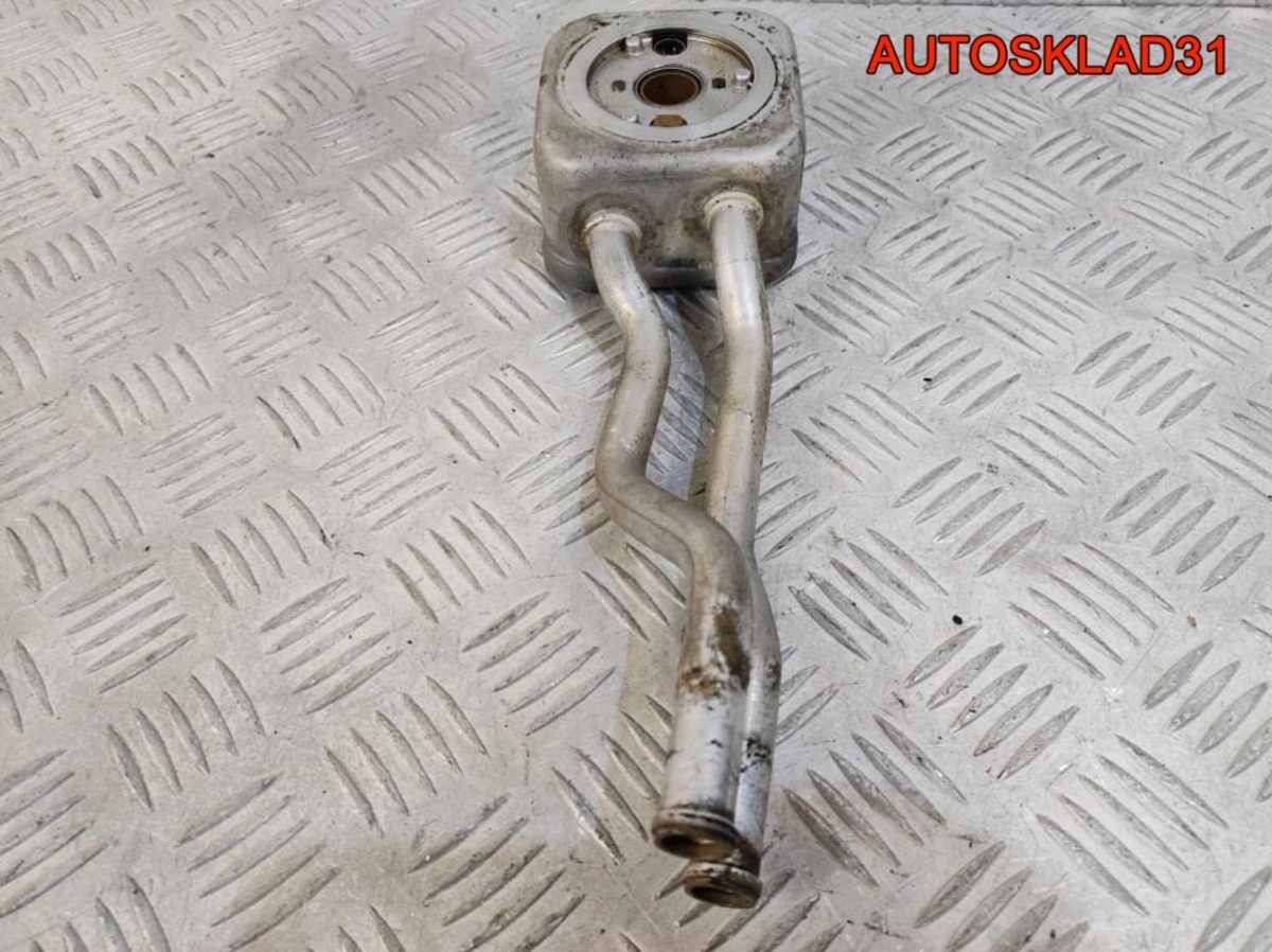 Радиатор масляный VW Golf 4 1.6L BAD 036117021H - АвтоСклад31.рф - авторазборка контрактные б/у запчасти в г. Белгород