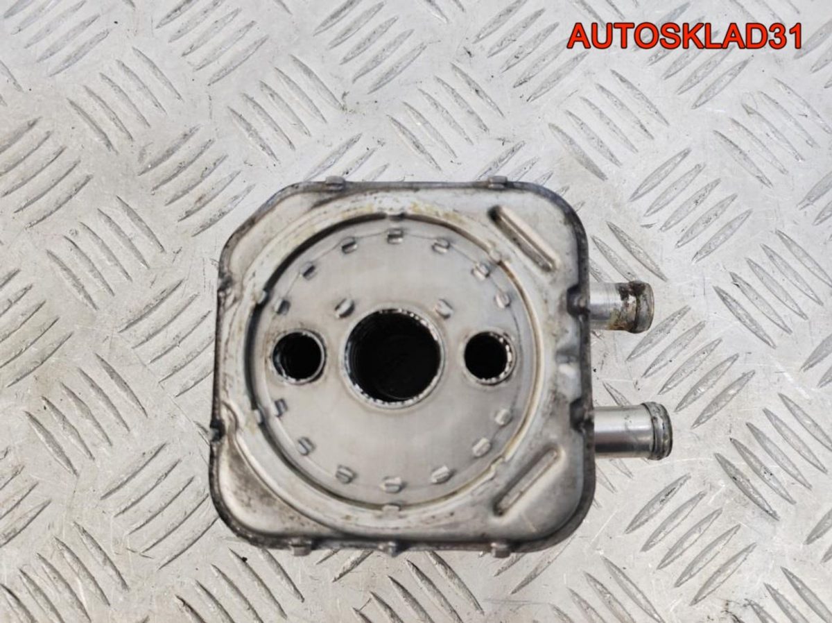 Радиатор масляный Audi A6 C5 1.9 AFN 028117021C - АвтоСклад31.рф - авторазборка контрактные б/у запчасти в г. Белгород