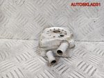 Радиатор масляный Audi A3 8L 1,6 AKL 078117021A - АвтоСклад31.рф - авторазборка контрактные б/у запчасти в г. Белгород