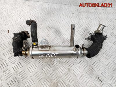 Радиатор EGR Opel Vectra C 1.9 Z19DT 55203716 - АвтоСклад31.рф - авторазборка контрактные б/у запчасти в г. Белгород