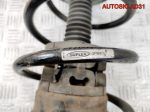 Амортизатор передний Renault Scenic 1 16242 - АвтоСклад31.рф - авторазборка контрактные б/у запчасти в г. Белгород