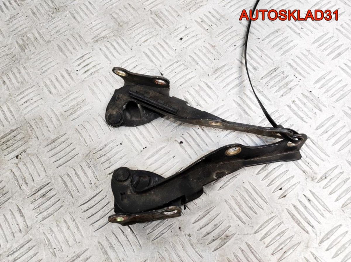 Петли капота Hyundai Getz 791101C000 - АвтоСклад31.рф - авторазборка контрактные б/у запчасти в г. Белгород