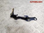 Петля капота правая Toyota Avensis T250 5341005060 - АвтоСклад31.рф - авторазборка контрактные б/у запчасти в г. Белгород
