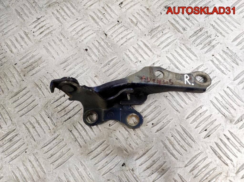 Петля капота правая Toyota Avensis T250 5341005060 - АвтоСклад31.рф - авторазборка контрактные б/у запчасти в г. Белгород Петля капота правая Toyota Avensis T250 5341005060 - АвтоСклад31.рф - авторазборка контрактные б/у запчасти в г. Белгород