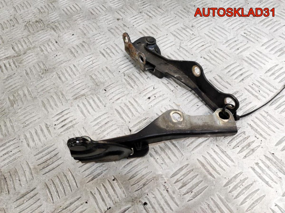 Петли капота Hyundai Getz 791101C000 - АвтоСклад31.рф - авторазборка контрактные б/у запчасти в г. Белгород