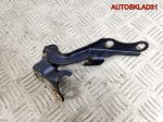 Петля капота левая Toyota Avensis T250 5342005060 - АвтоСклад31.рф - авторазборка контрактные б/у запчасти в г. Белгород