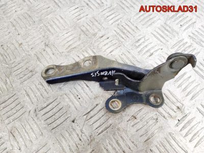 Петля капота левая Toyota Avensis T250 5342005060 - АвтоСклад31.рф - авторазборка контрактные б/у запчасти в г. Белгород