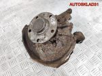 Кулак поворотный задний правый VW Golf 5 1K0505436N - АвтоСклад31.рф - авторазборка контрактные б/у запчасти в г. Белгород