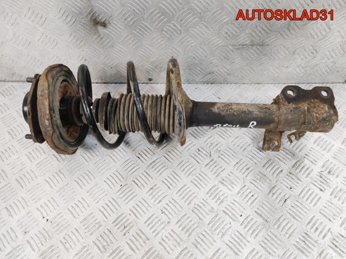 Амортизатор передний правый Nissan X-Trail T30 543028H726 - АвтоСклад31.рф - авторазборка контрактные б/у запчасти в г. Белгород
