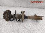 Амортизатор передний правый Nissan X-Trail T30 543028H726 - АвтоСклад31.рф - авторазборка контрактные б/у запчасти в г. Белгород
